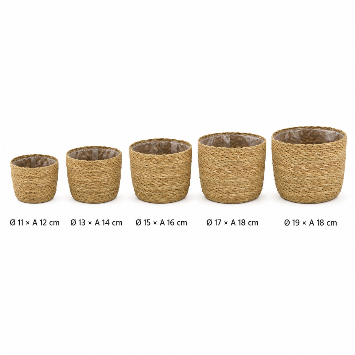 Comparacao de tamanhos dos cestos para plantas bioma plants