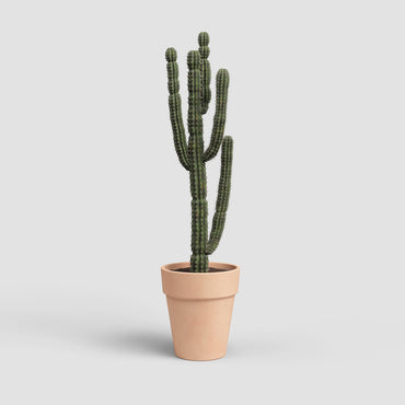 Maceta Amália | Alta