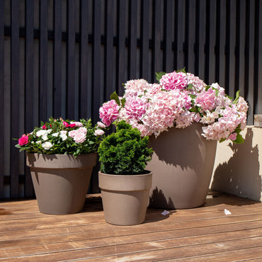 Maceta Amália | Ancha