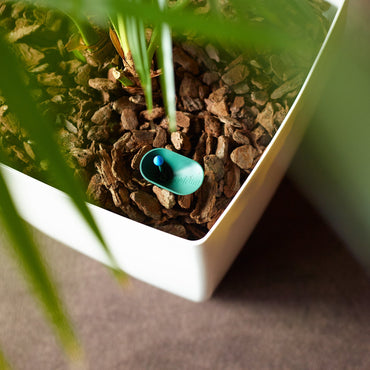 Hydrum | Self-Watering System