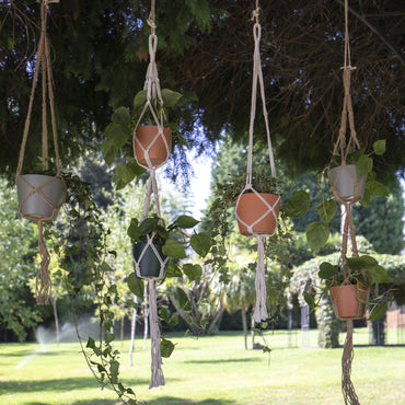 macramés têxtil com nós com plantas scindapsus e heras em ambiente exterior de jardim