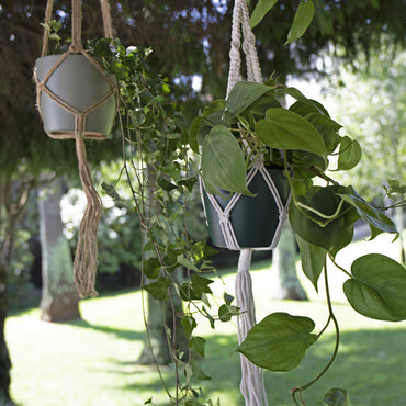 macramé têxtil com nós com planta scindapsus e hera em ambiente exterior