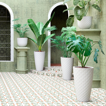 Vaso Havana Tropical | Alto