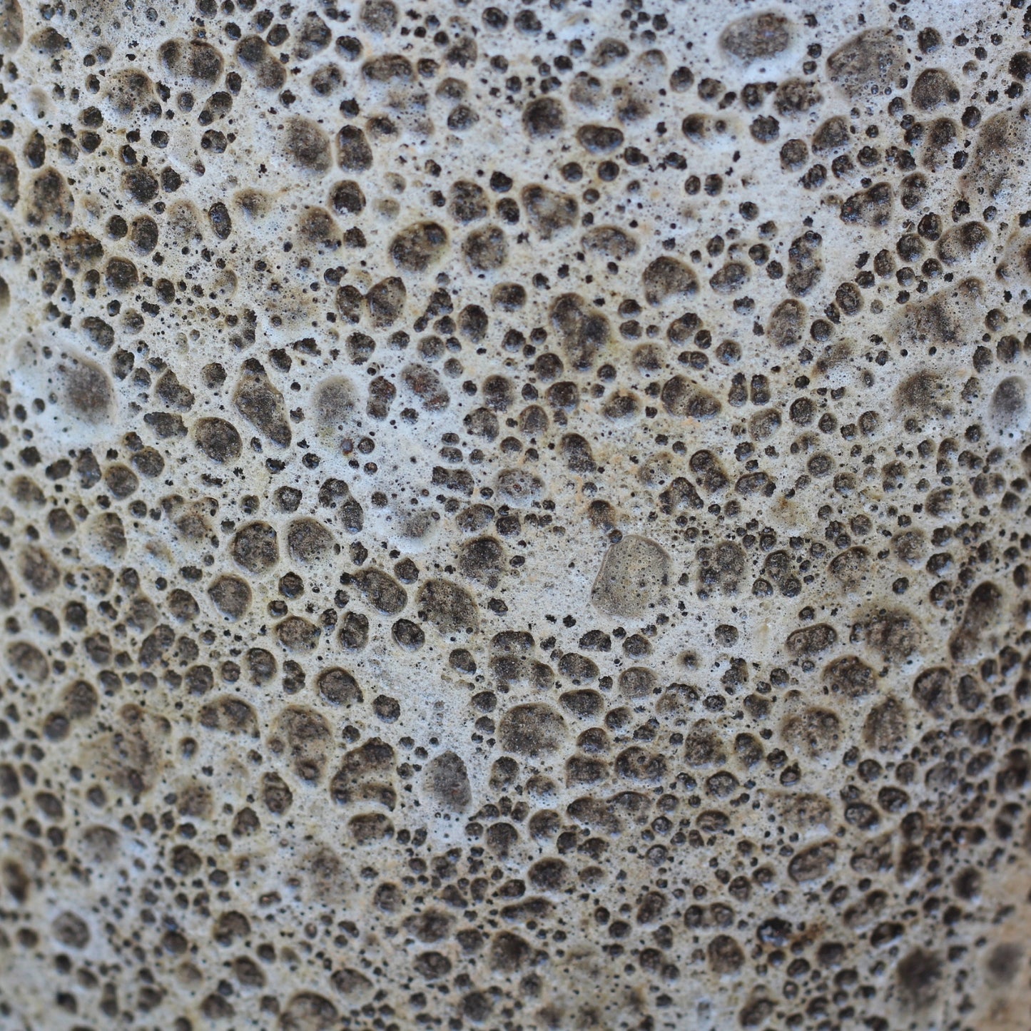 Vaso Campana Antic Glazed visto de lado, destacando sua forma orgânica e acabamento rústico esmaltado feito à mão