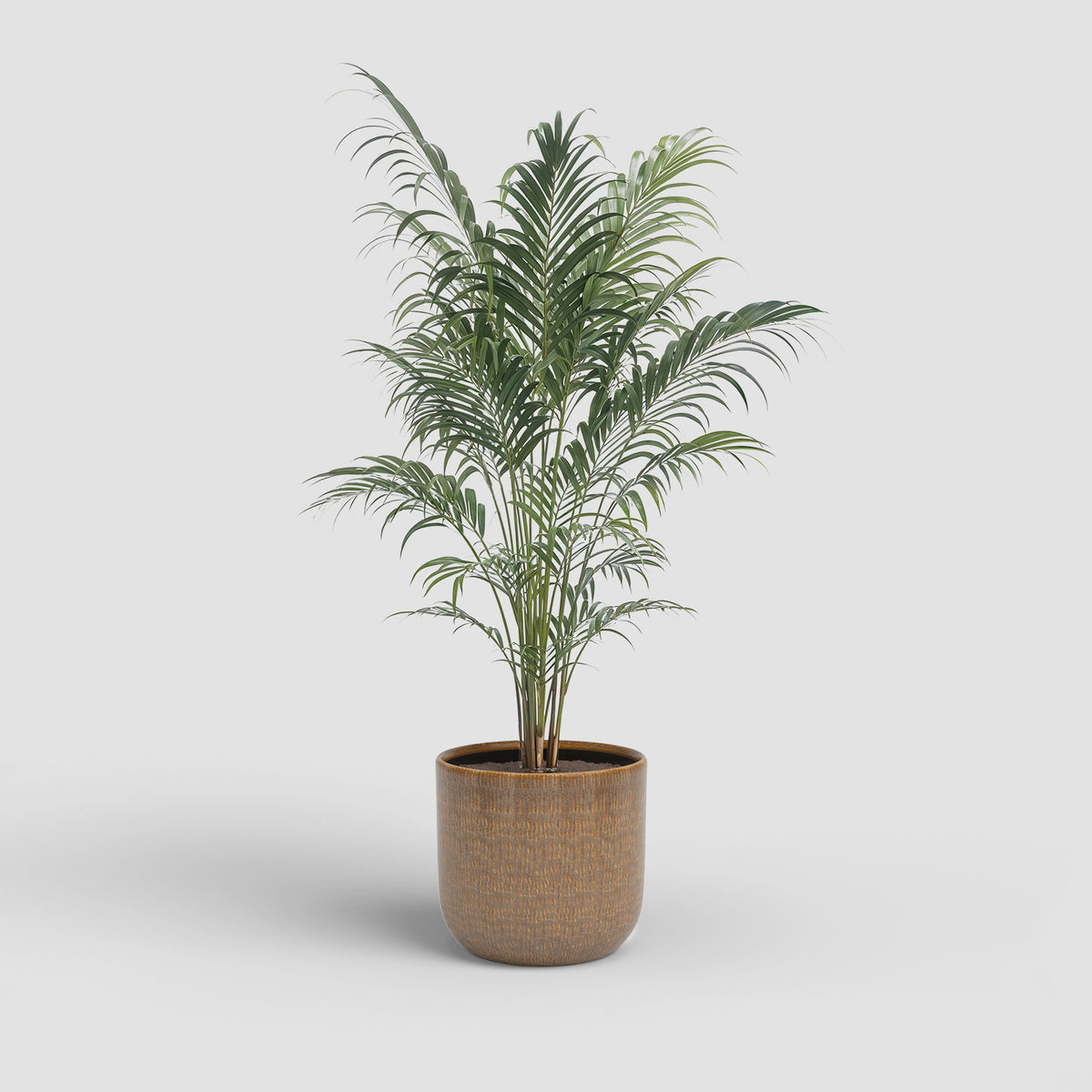 Vaso Melissa