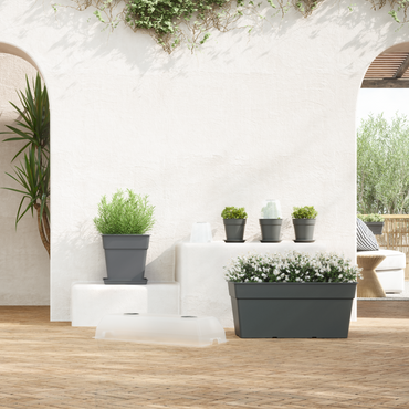 Vaso Madagascar | Quadrado