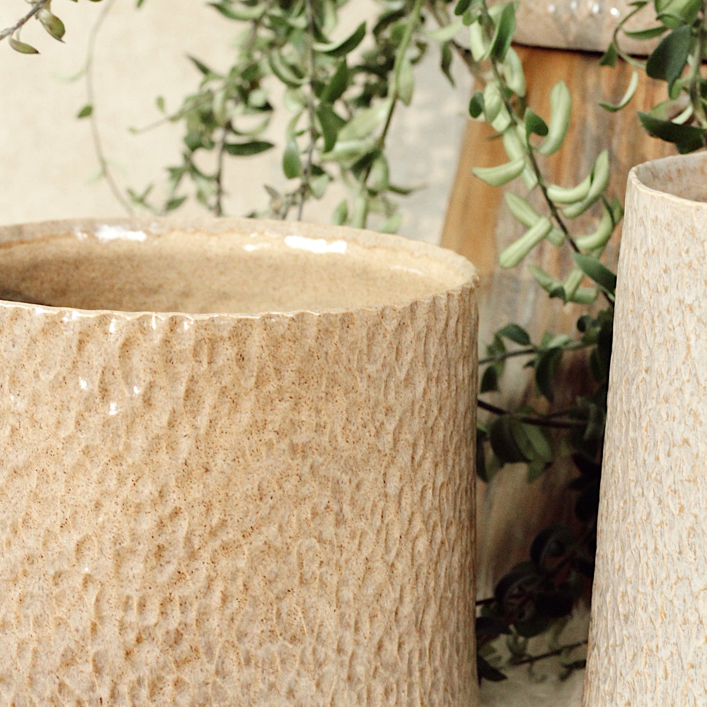 Vaso Saturn