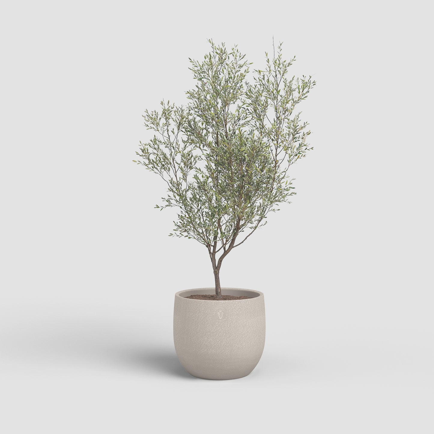 Vaso Selene
