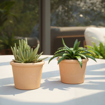 Maceta Saramago | Cilindro