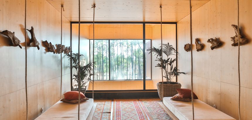 Outubro Zen: cria um oásis de tranquilidade com plantas de interior!