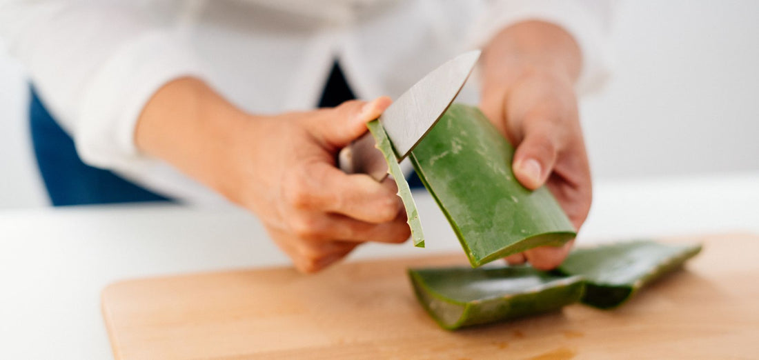 Os benefícios do Aloe Vera 