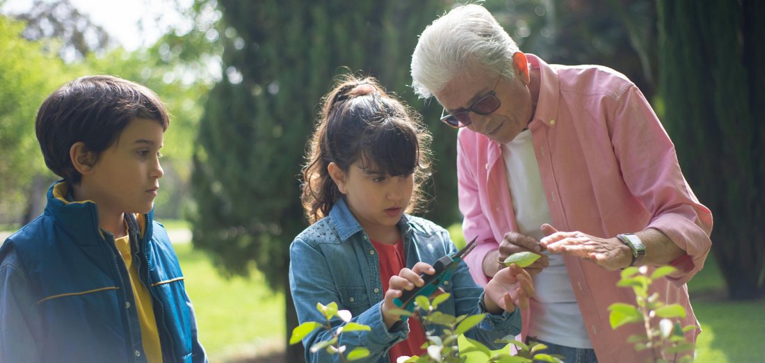 Celebra o Dia dos Avós com estas 5 ideias