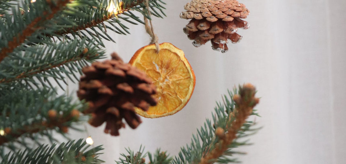 3 dicas para um Natal mais sustentável