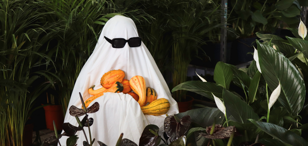 A poção mágica para um Halloween criativo e sustentável