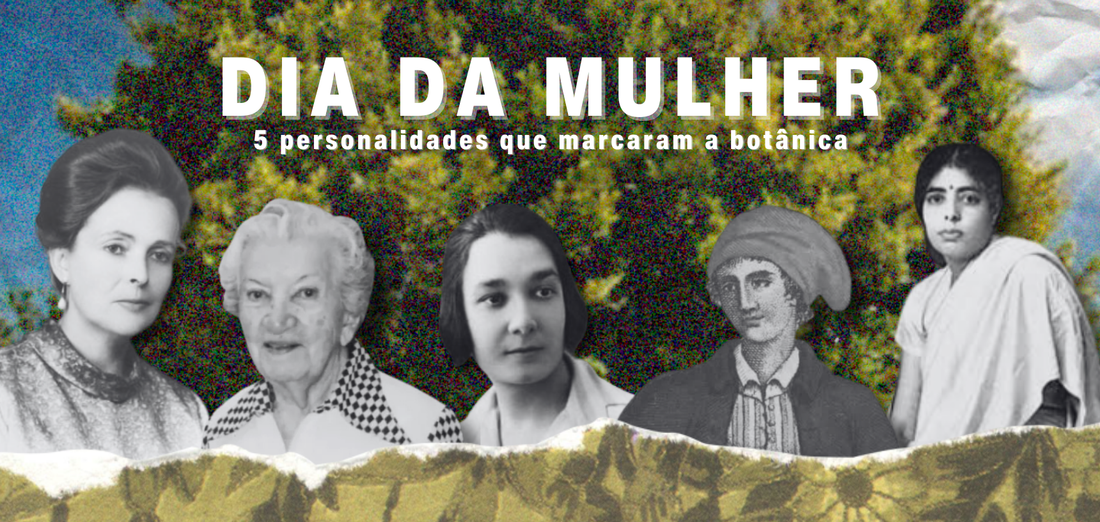 Dia da Mulher - Mulheres que marcaram a botância