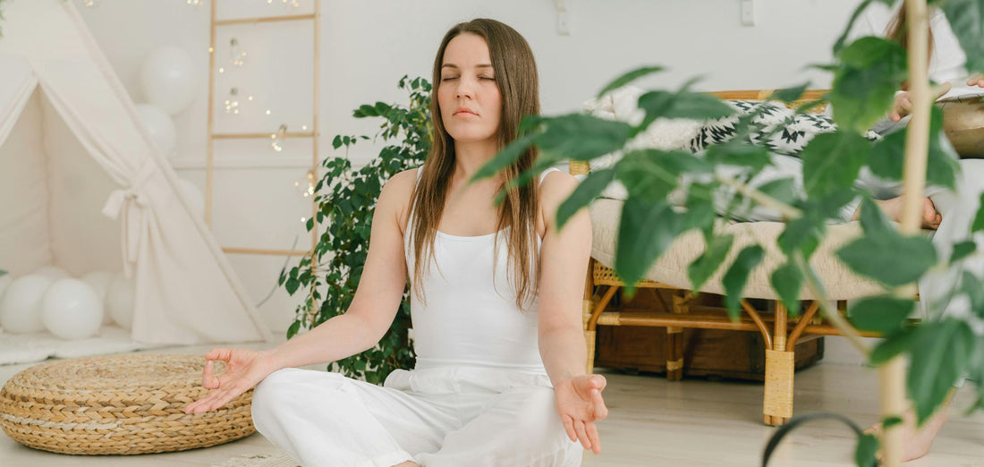 Outubro Zen: abraça a paz interior com plantas