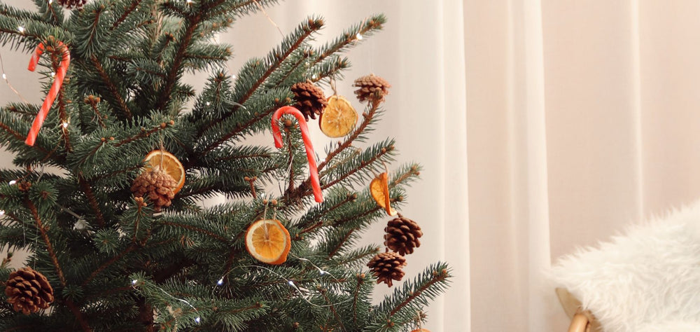 Árvore de Natal real: porque as escolhemos?