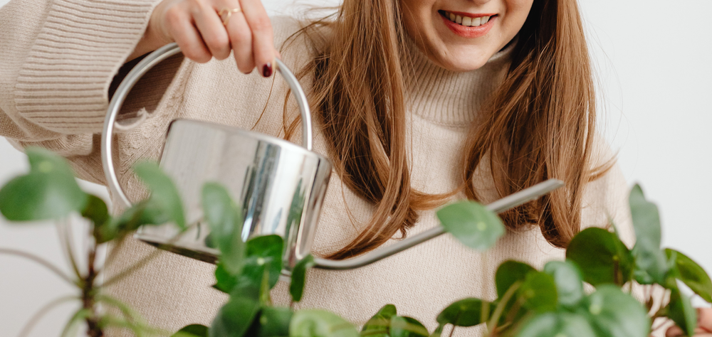 Porque as mulheres estão a rechear as casas de plantas?