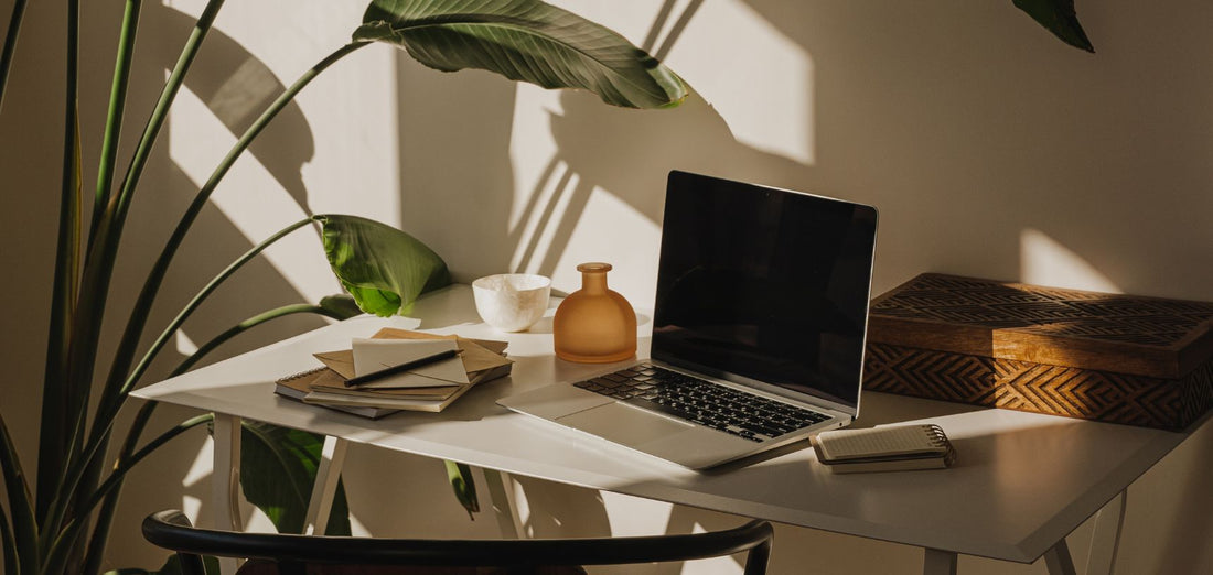 Basta uma planta para mudar o teu dia de trabalho