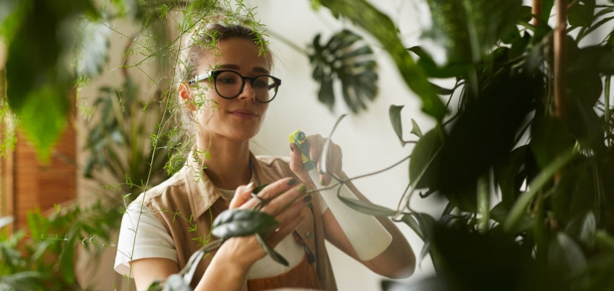 Plantas: o antídoto para os dias sombrios de inverno