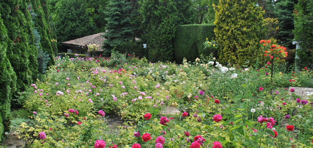 Constrói o teu próprio jardim vivo e florido