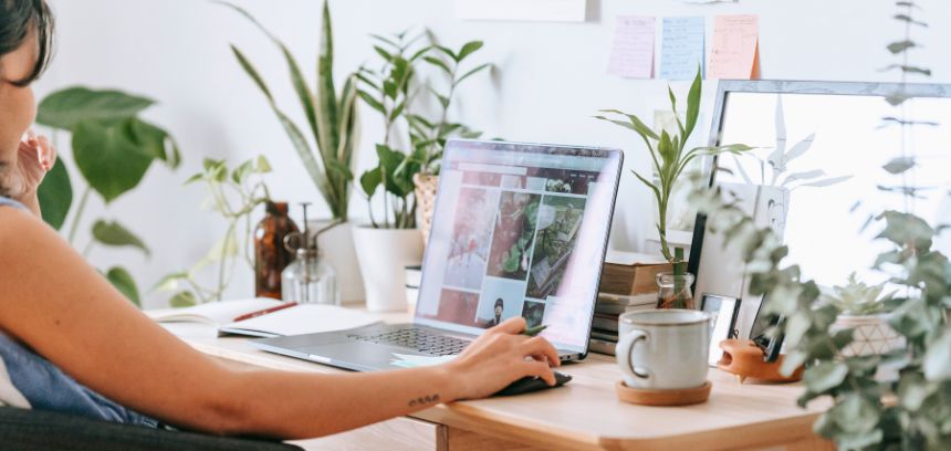 As várias vantagens de comprar plantas online!