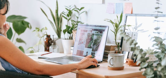 As várias vantagens de comprar plantas online!