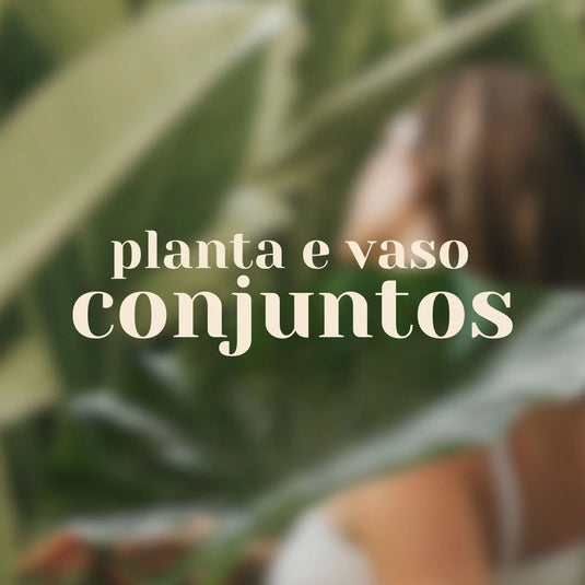 Plantas com vaso