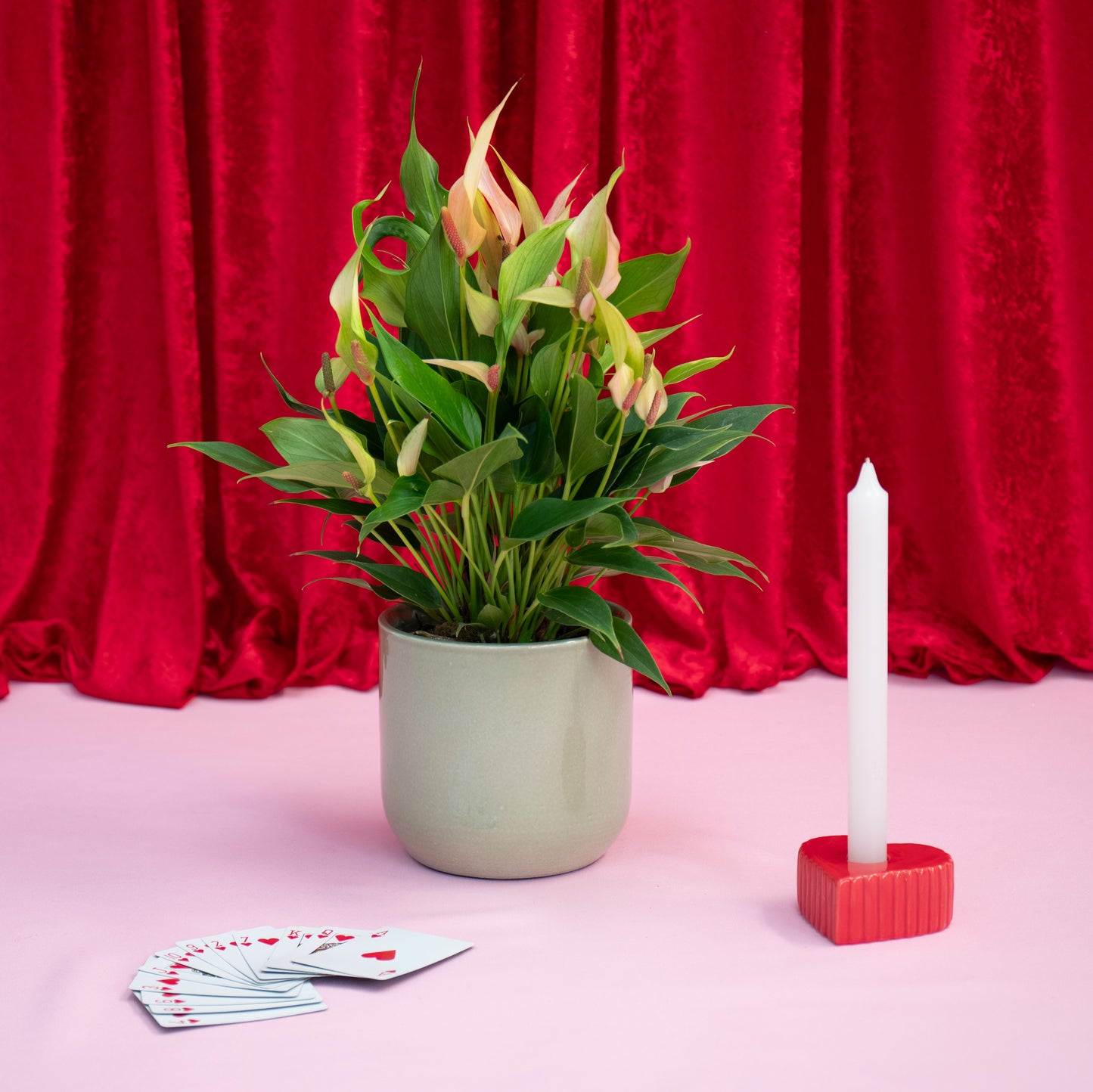 Anthurium Lily With Jupiter Vase