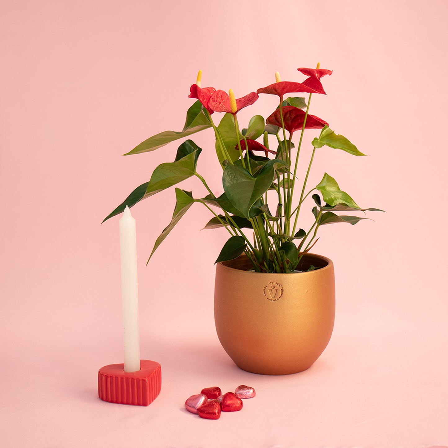 Red Anthurium With Hera Pot