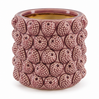 Raspberry Ceramic Vase