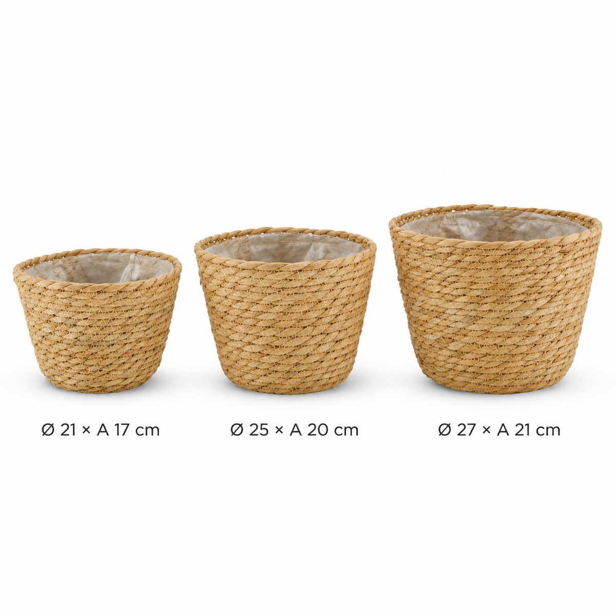 Comparacao de tamanhos dos cestos bioma plants