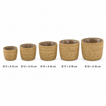 Comparacao de tamanhos dos cestos para plantas bioma plants