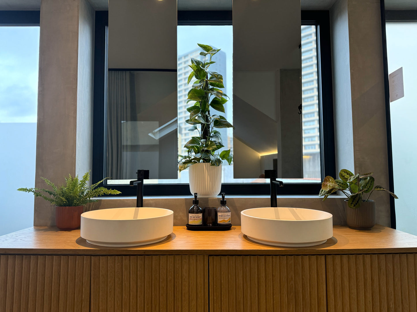 conjunto de plantas de interior para casa de banho nephrolepis exaltata maranta leuconera scindapsus aureum  em vasos de cerâmica artevasi em casa de banho moderna móvel de madeira