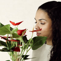 Red Anthurium with Jupiter Pot