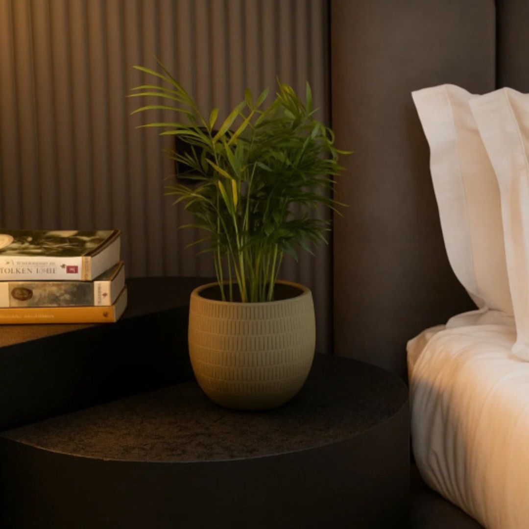 Decoração com Plantas | Consultoria Online