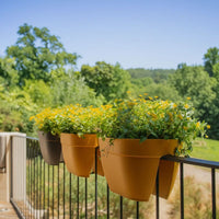 Decoração com Plantas | Consultoria Online