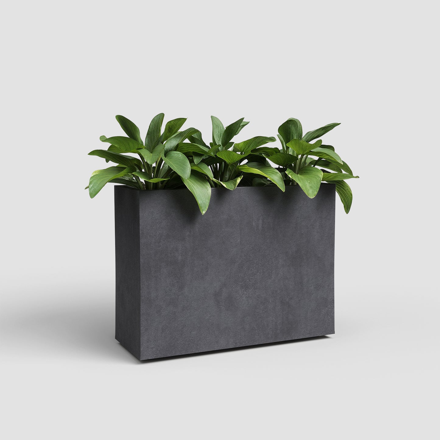 Sydney Rectangular High Planter