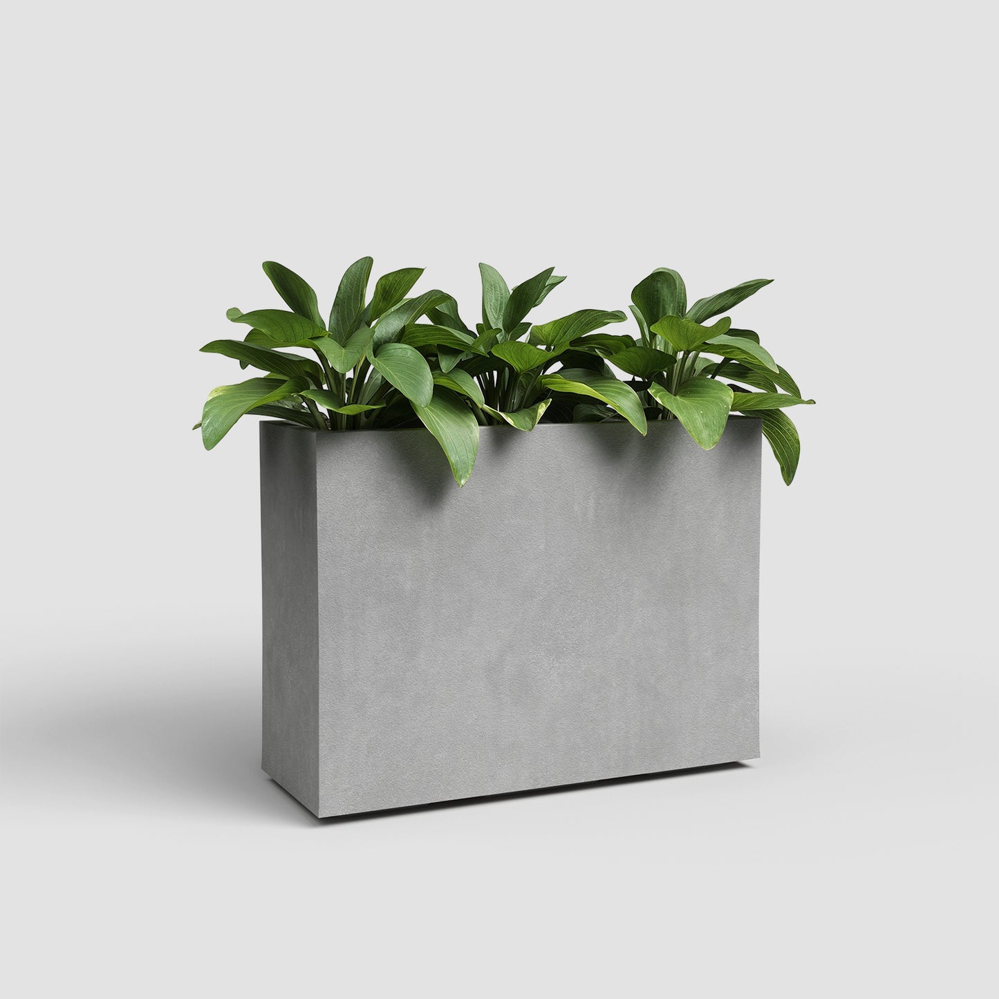 Sydney Rectangular High Planter