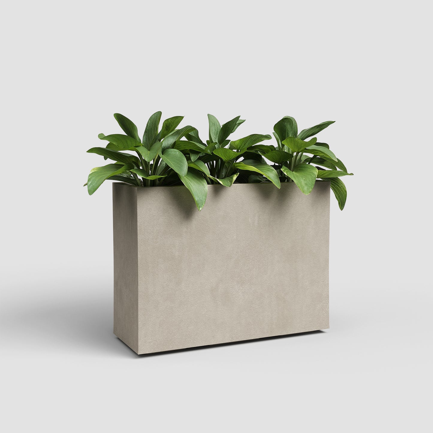 Sydney Rectangular High Planter