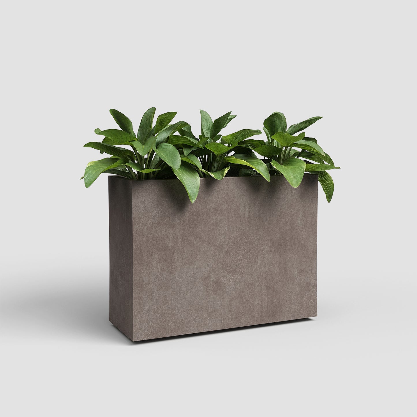 Sydney Rectangular High Planter