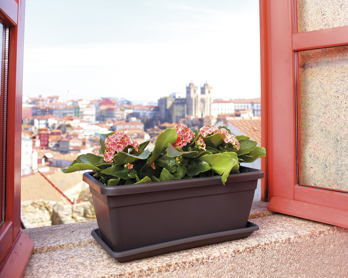 Floristería Venecia