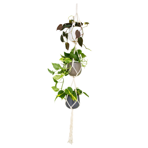 Suporte Macramé | Triplo