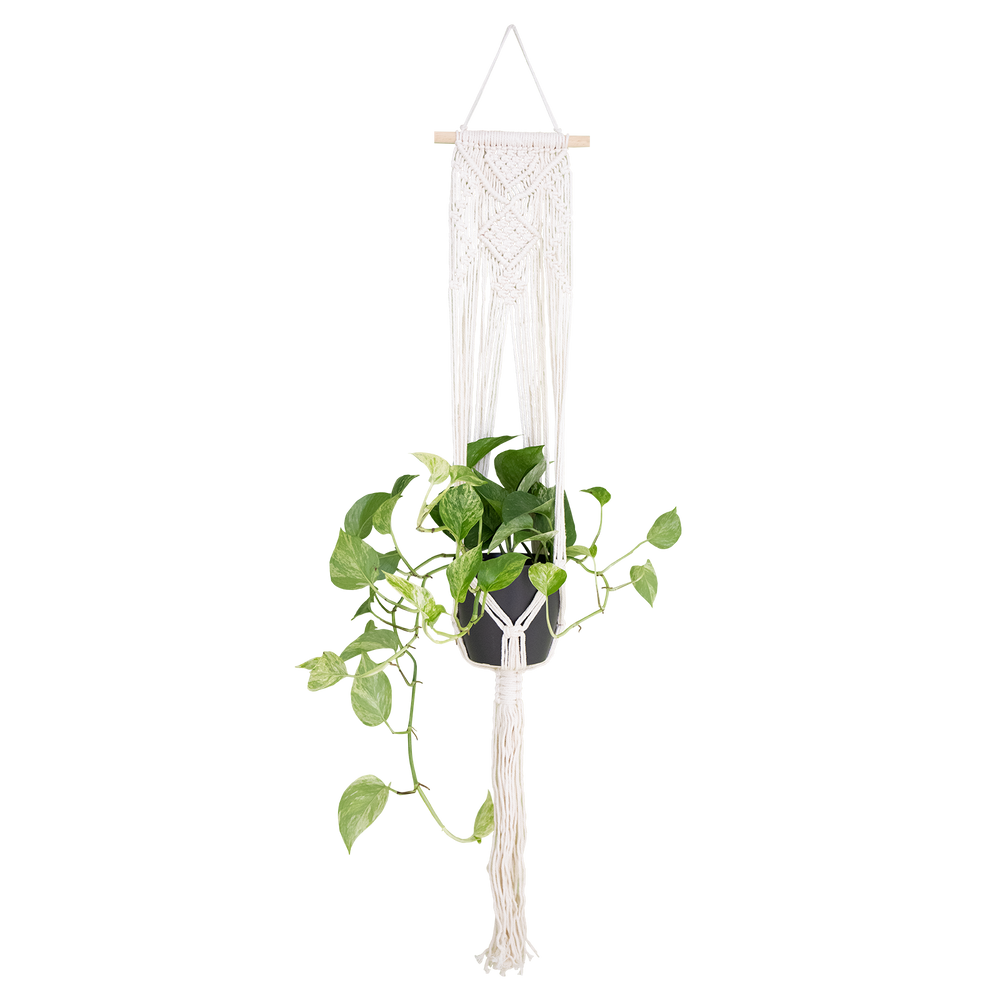 Suporte Macramé | Parede