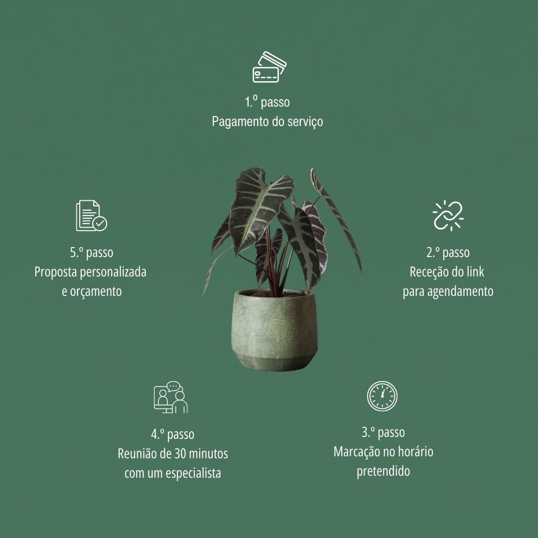 Decoração com Plantas | Consultoria Online
