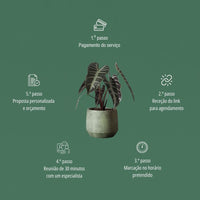 Decoração com Plantas | Consultoria Online
