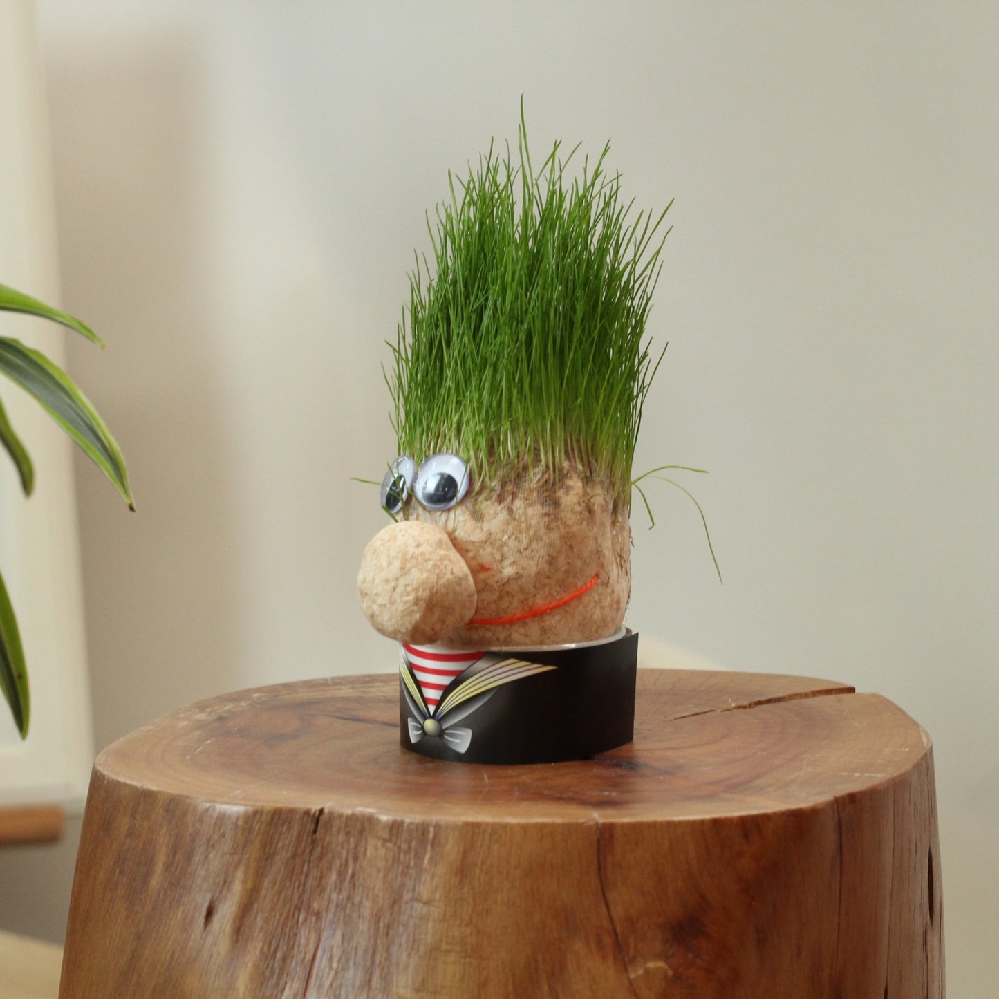 Mr. Grass | Grass Doll for Children