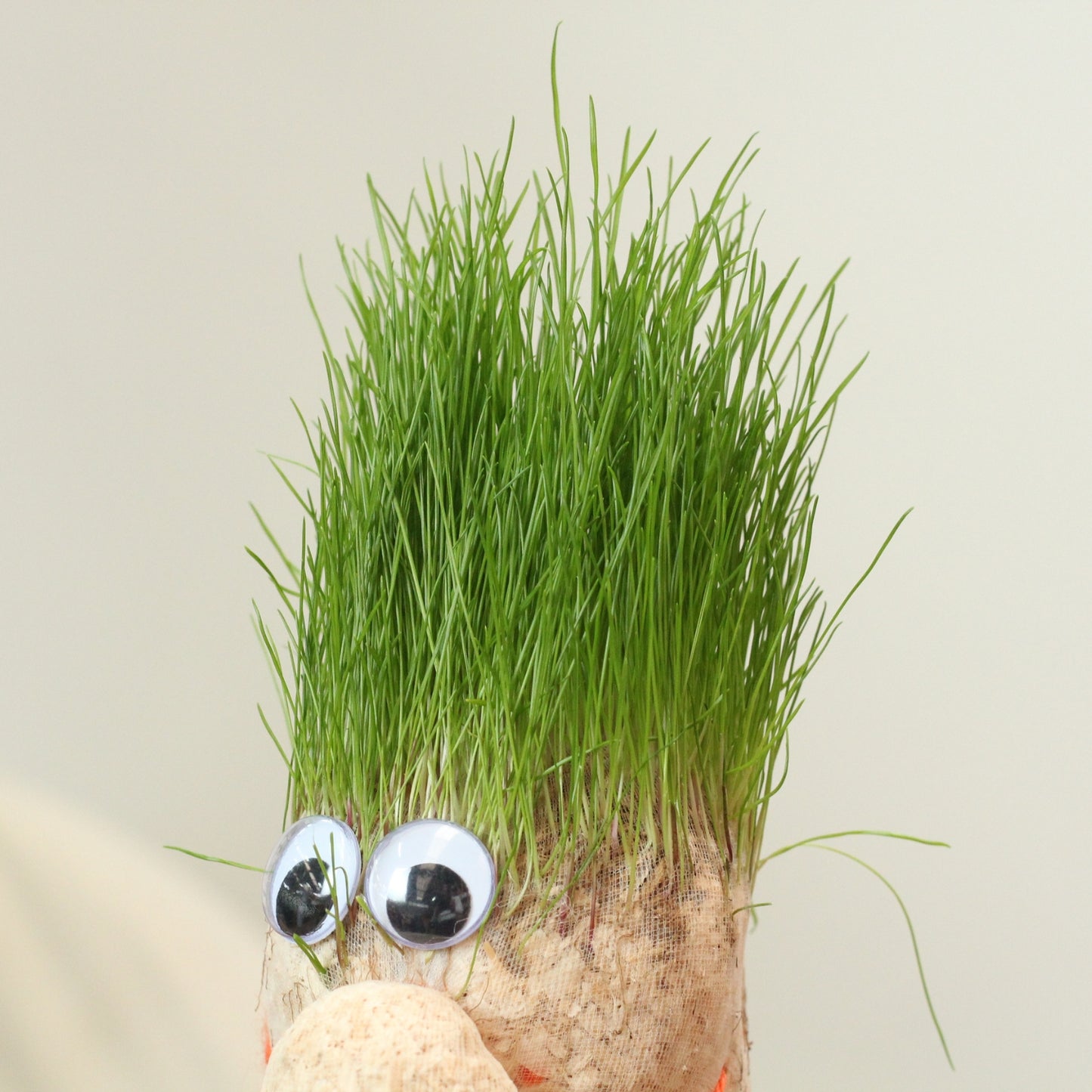 Mr. Grass | Grass Doll for Children