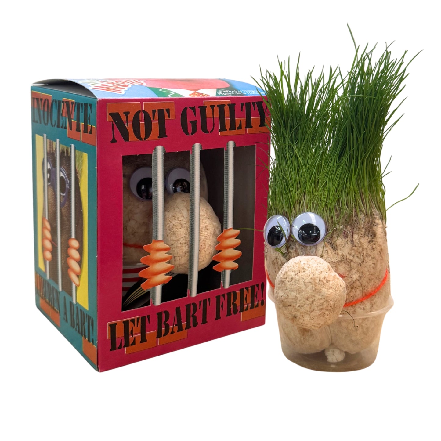 Mr. Grass | Grass Doll for Children