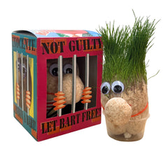 Mr. Grass | Grass Doll for Children